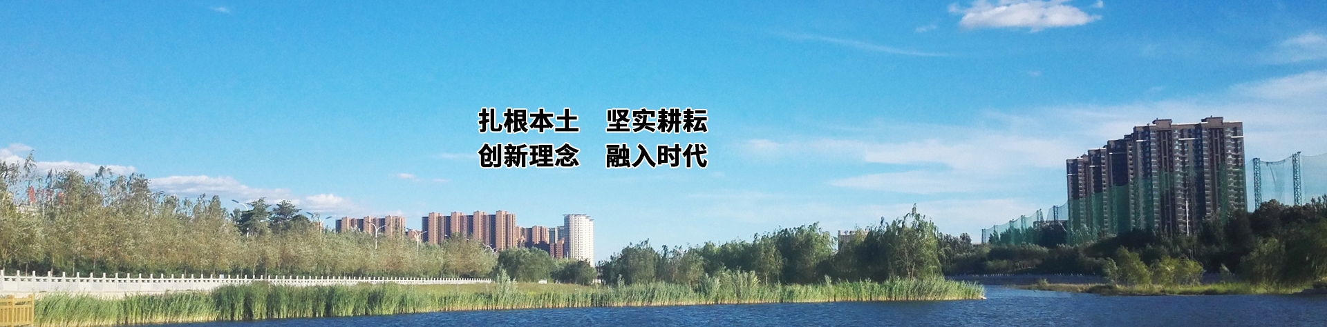 bob官方网站首页