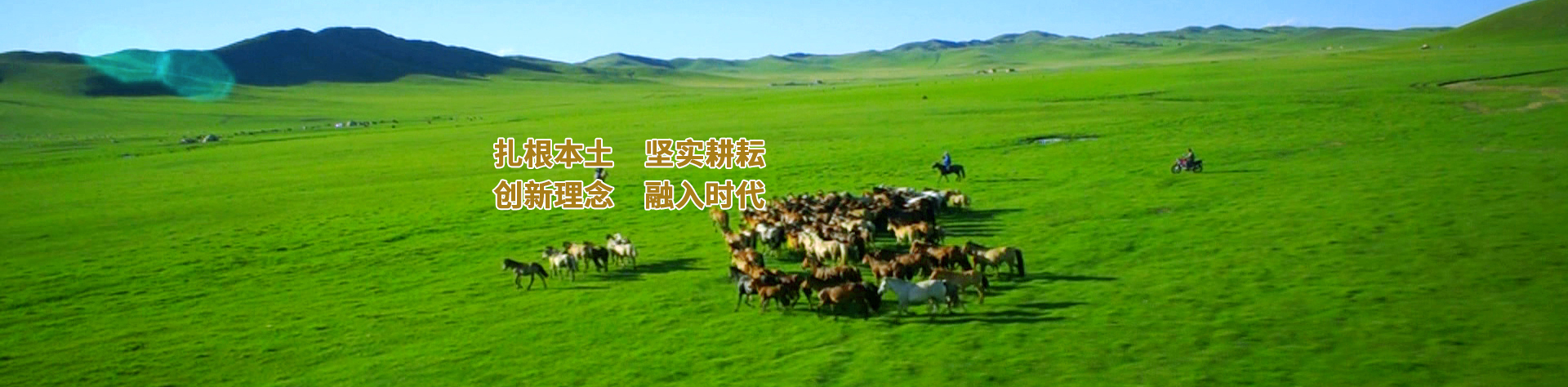 bob官方网站首页